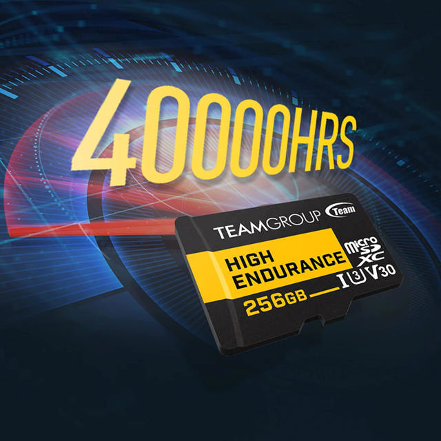 Team ROUP HIGH ENDURANCE 256GB Micro