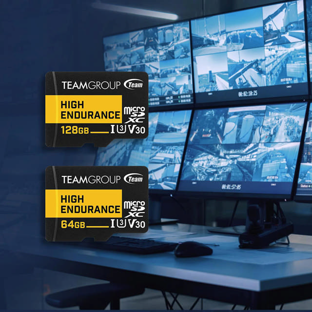 Team ROUP HIGH ENDURANCE 256GB Micro