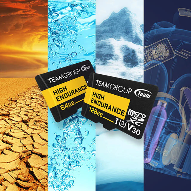 Team ROUP HIGH ENDURANCE 64GB Micro SDXC