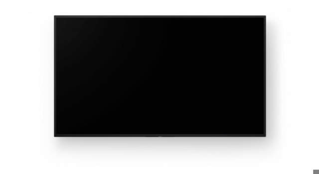 Sony Bravia BZ40L 75