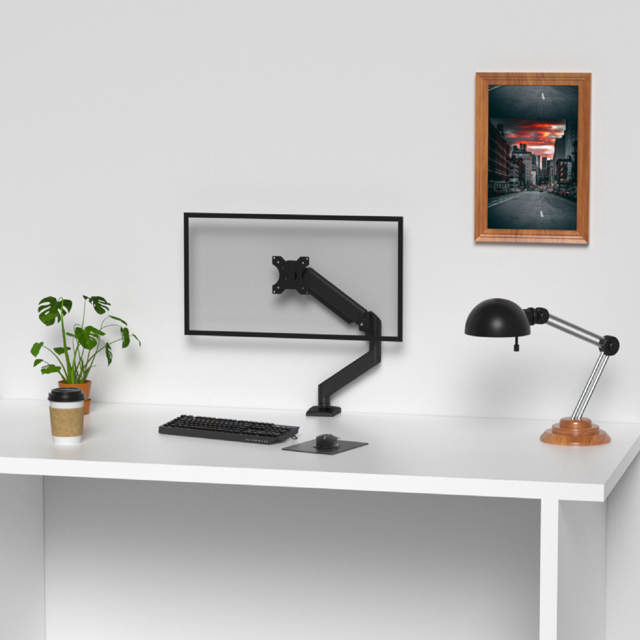 Shintaro Single Monitor Mount 32
