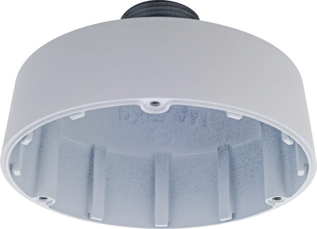 D-Link DCS-F480PC Pendant Cap Type T1