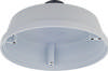 D-Link DCS-F481PC Pendant Cap Type T2